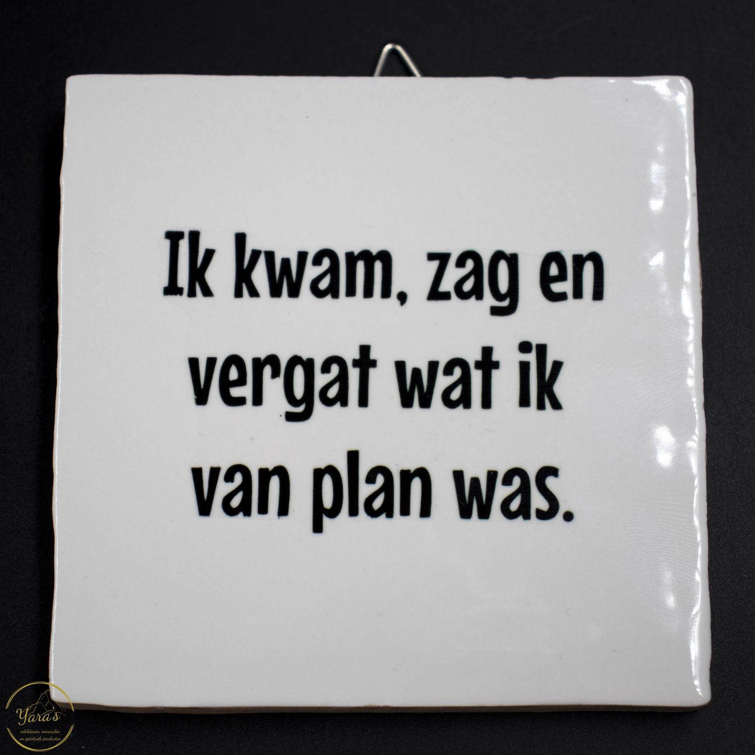 Tegeltje &quot;ik kwam, zag en vergat wat ik van plan was.&quot;