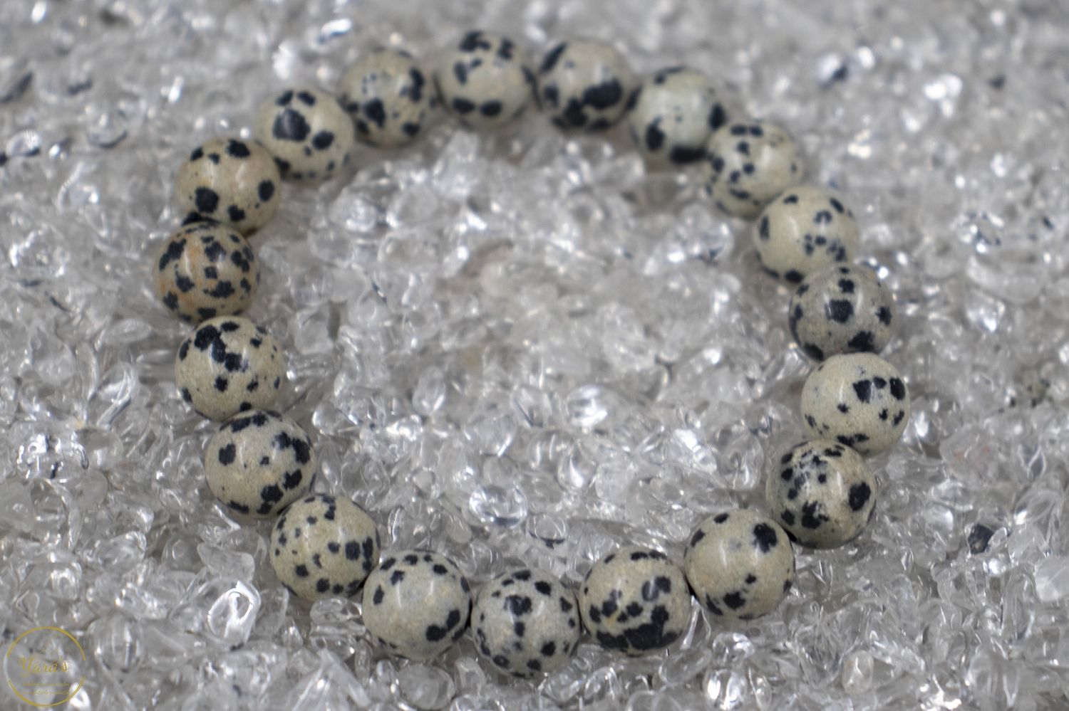 Dalmatiër Jaspis armband 10mm.