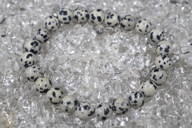 Dalmatiër Jaspis armband 8mm.