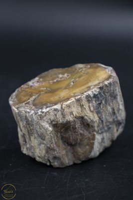 Versteend hout stammetje uit Madagascar - 126 gram