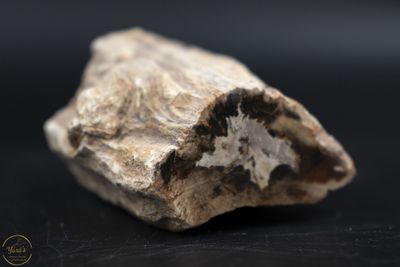 Versteend hout stammetje uit Madagascar  - 120 gram