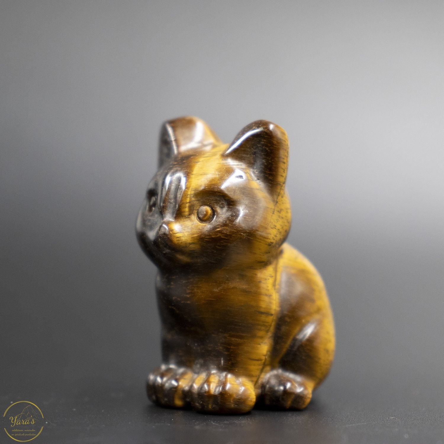 Tijgeroog poesje ca. 4 cm