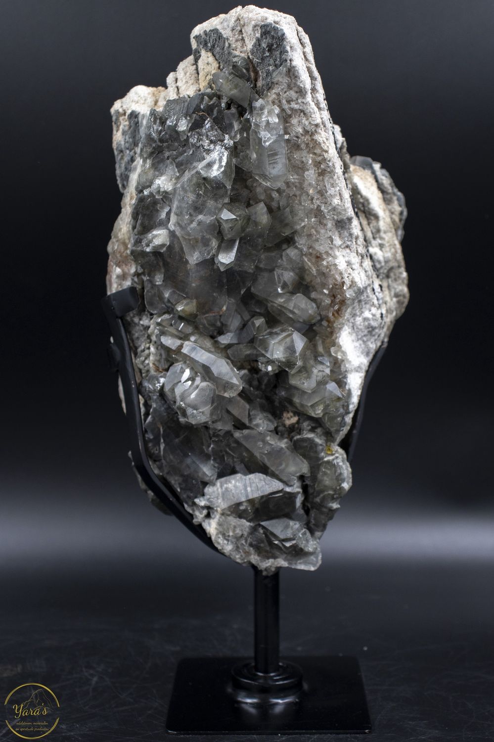 Blauwe Tara op Matrix 5.336 kg