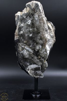 Blauwe Tara op Matrix 5.336 kg