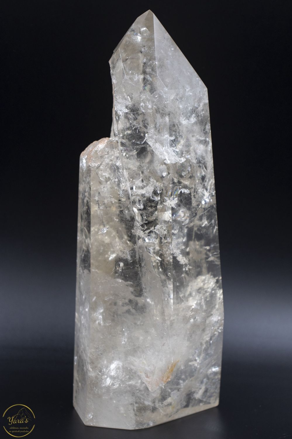 Citrien punt 2.24 kg