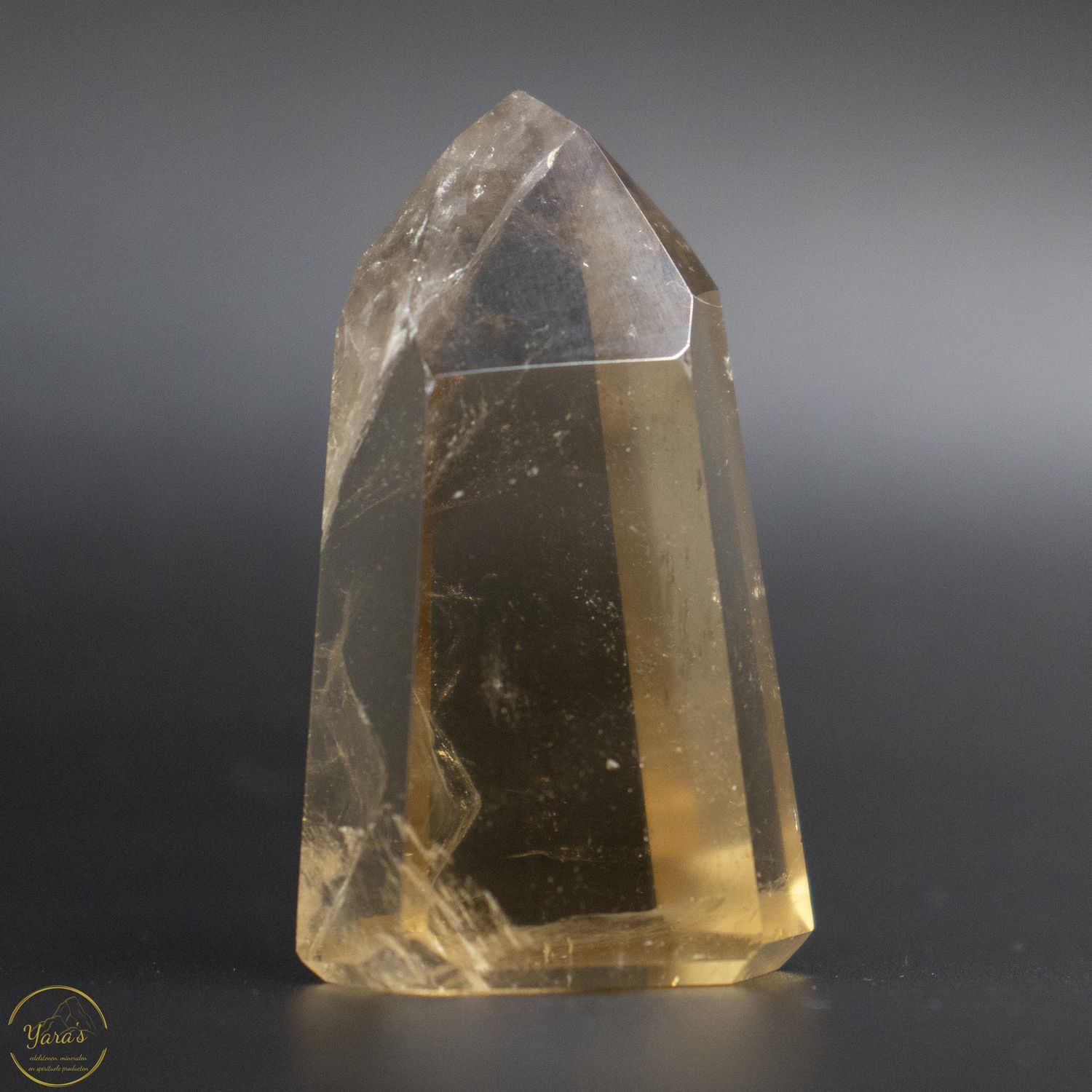 Citrien punt 26 gram