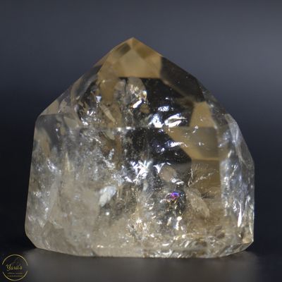 Citrien punt 58 gram