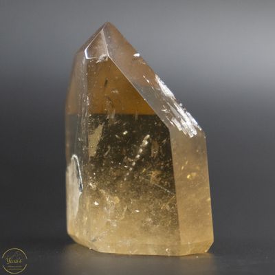 Citrien punt 22 gram