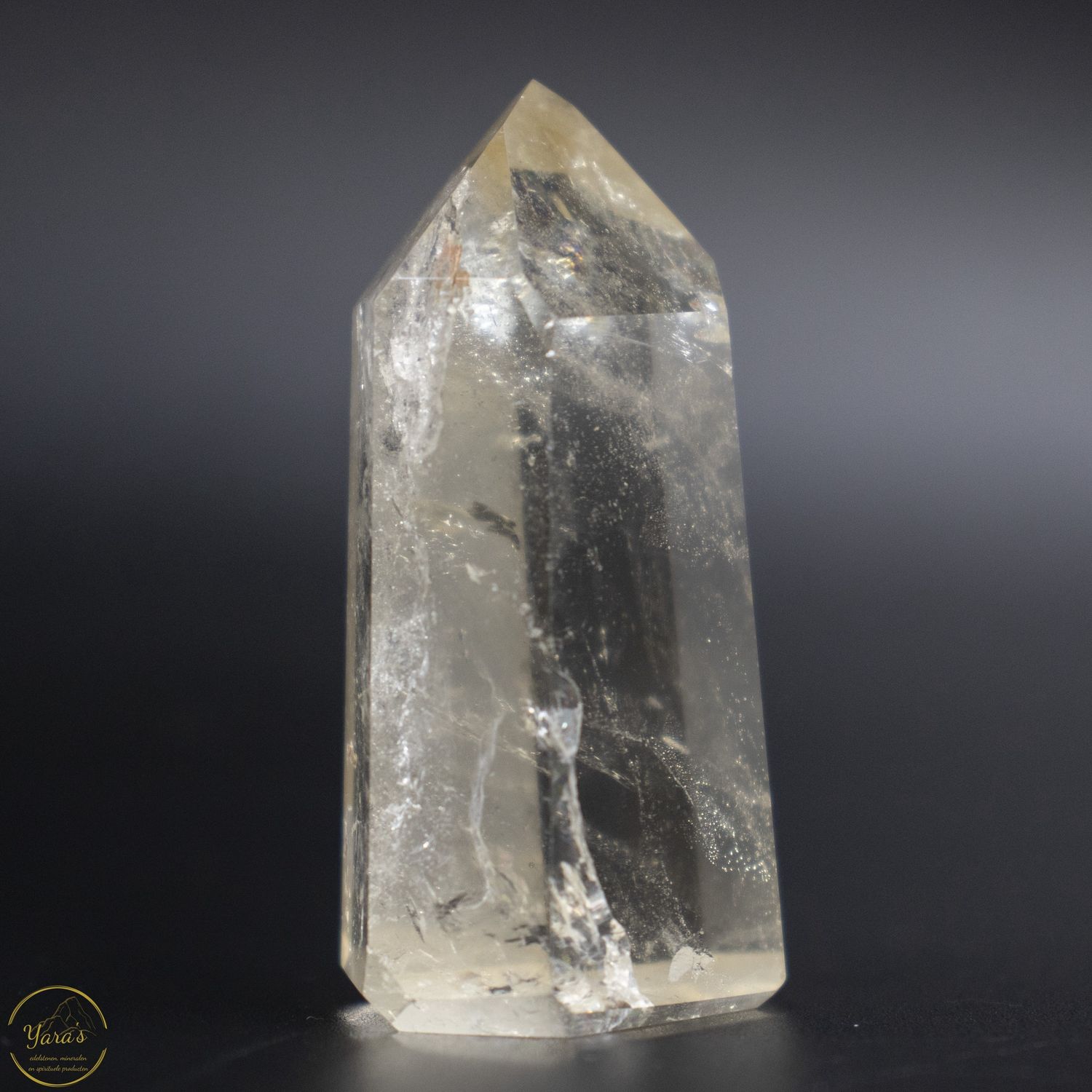 Citrien punt  30 gram