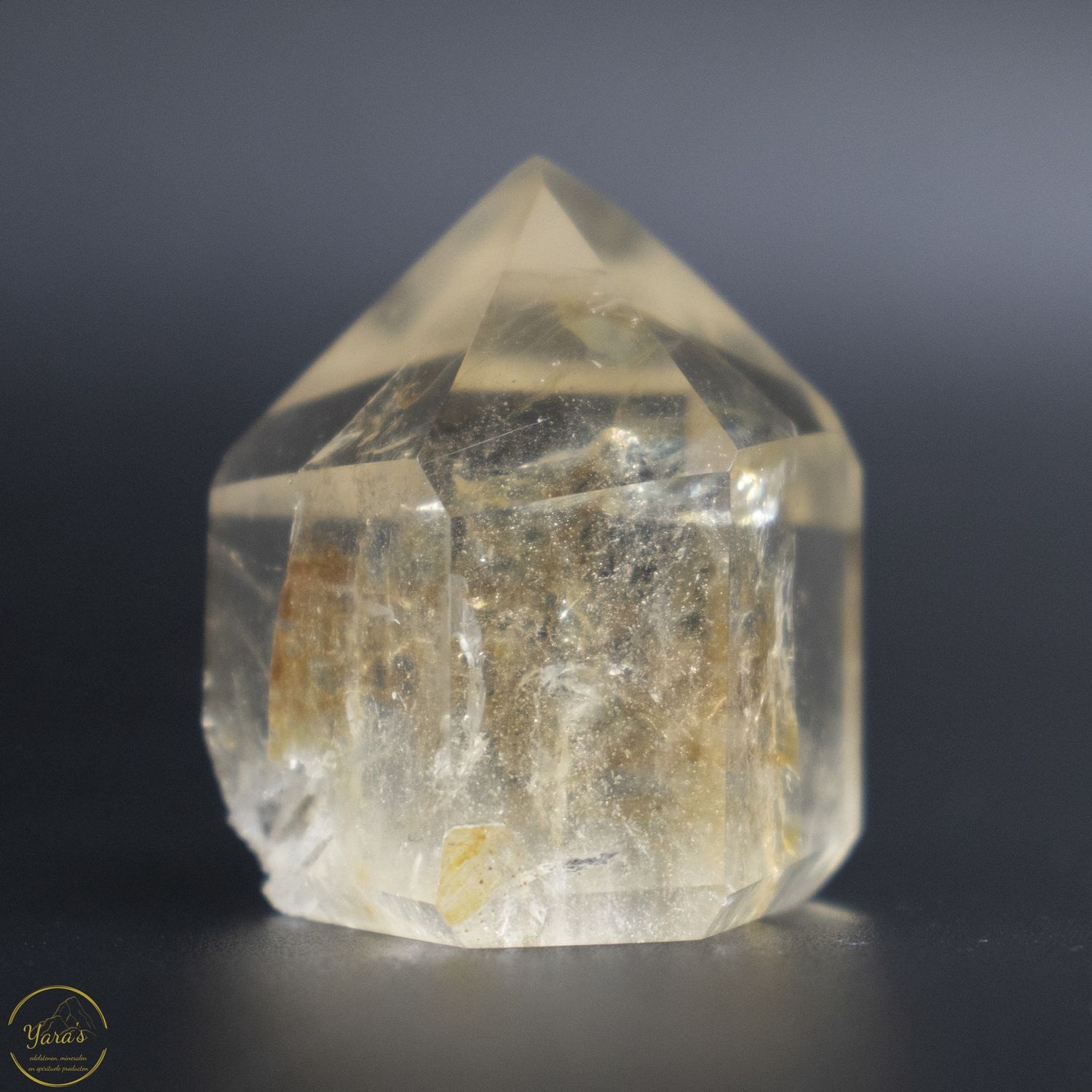 Citrien  punt  32 gram