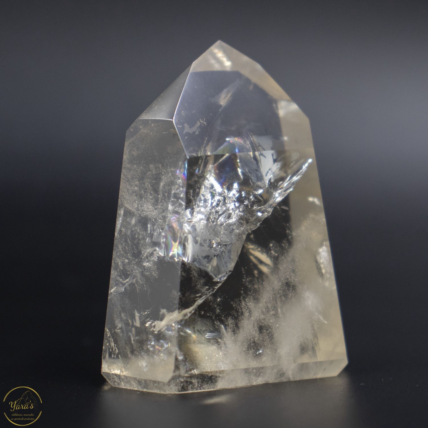 Citrien punt  42 gram