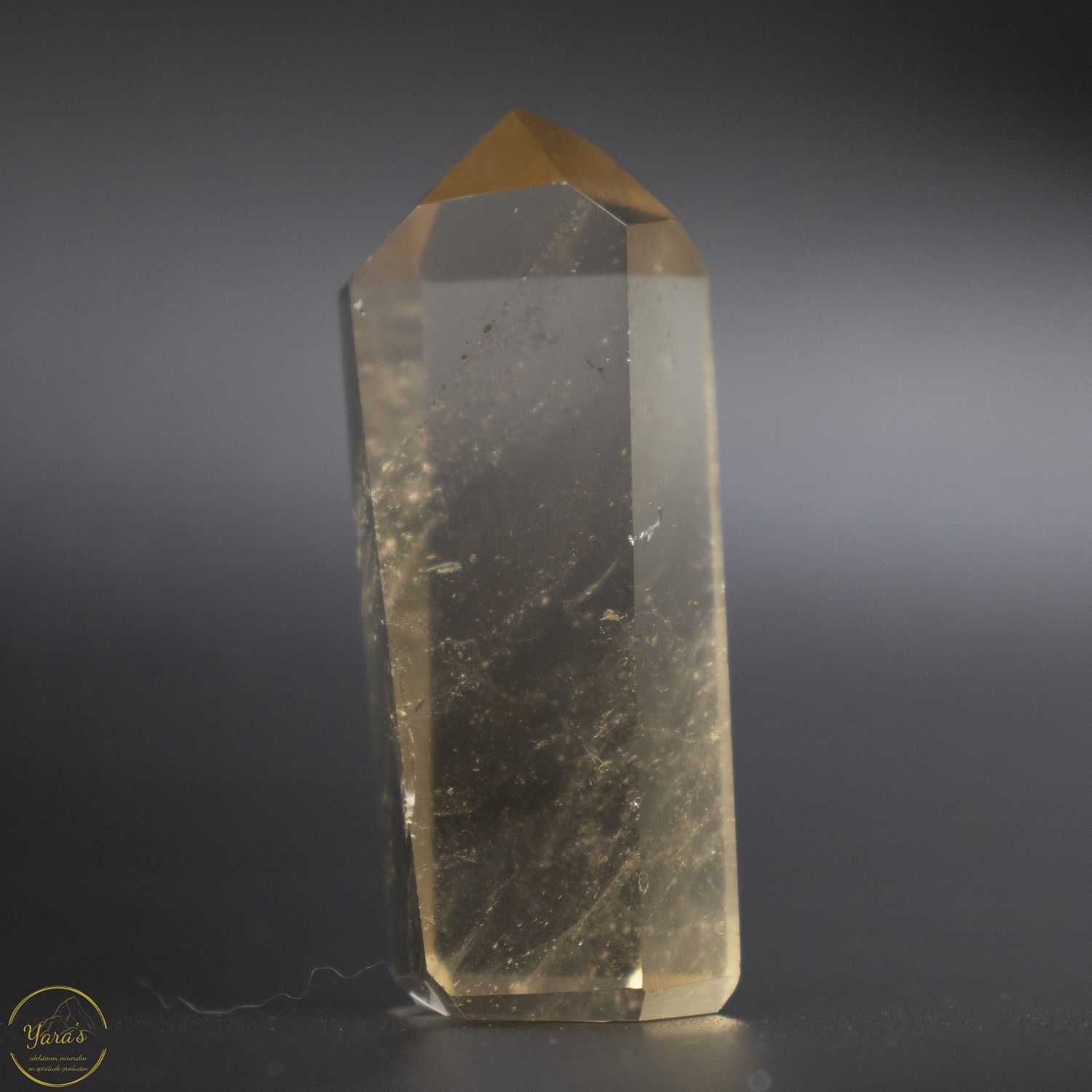 Citrien  punt 24 gram