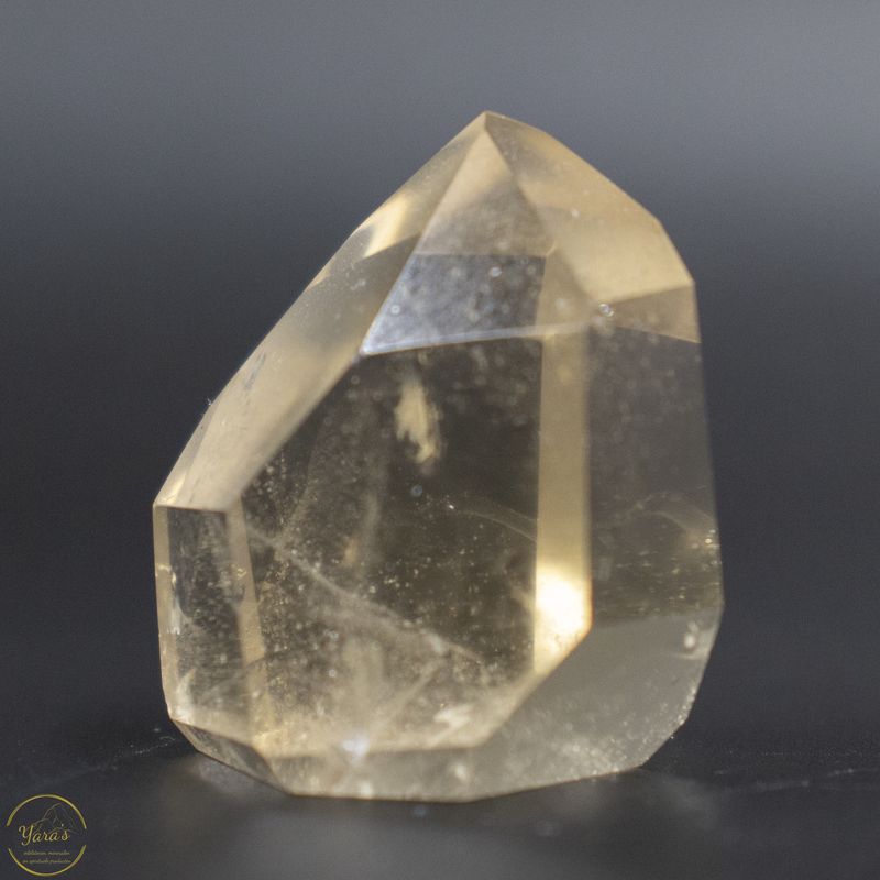 Citrien  punt  24  gram