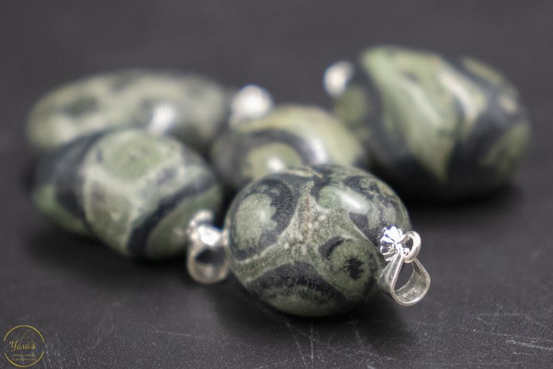 Kambaba jaspis / Eldariet hanger zilver (925)