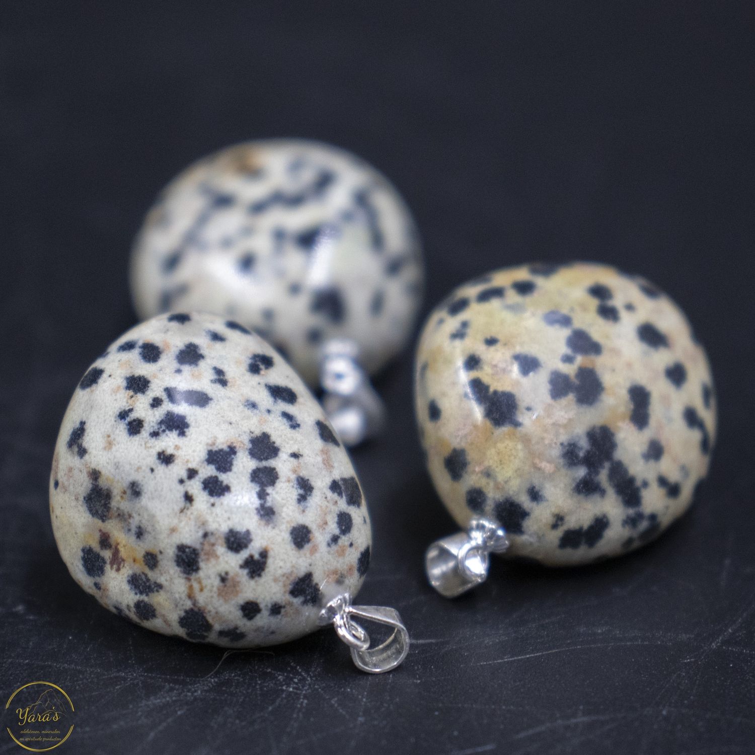 Dalmatiër jaspis hanger zilver (925)