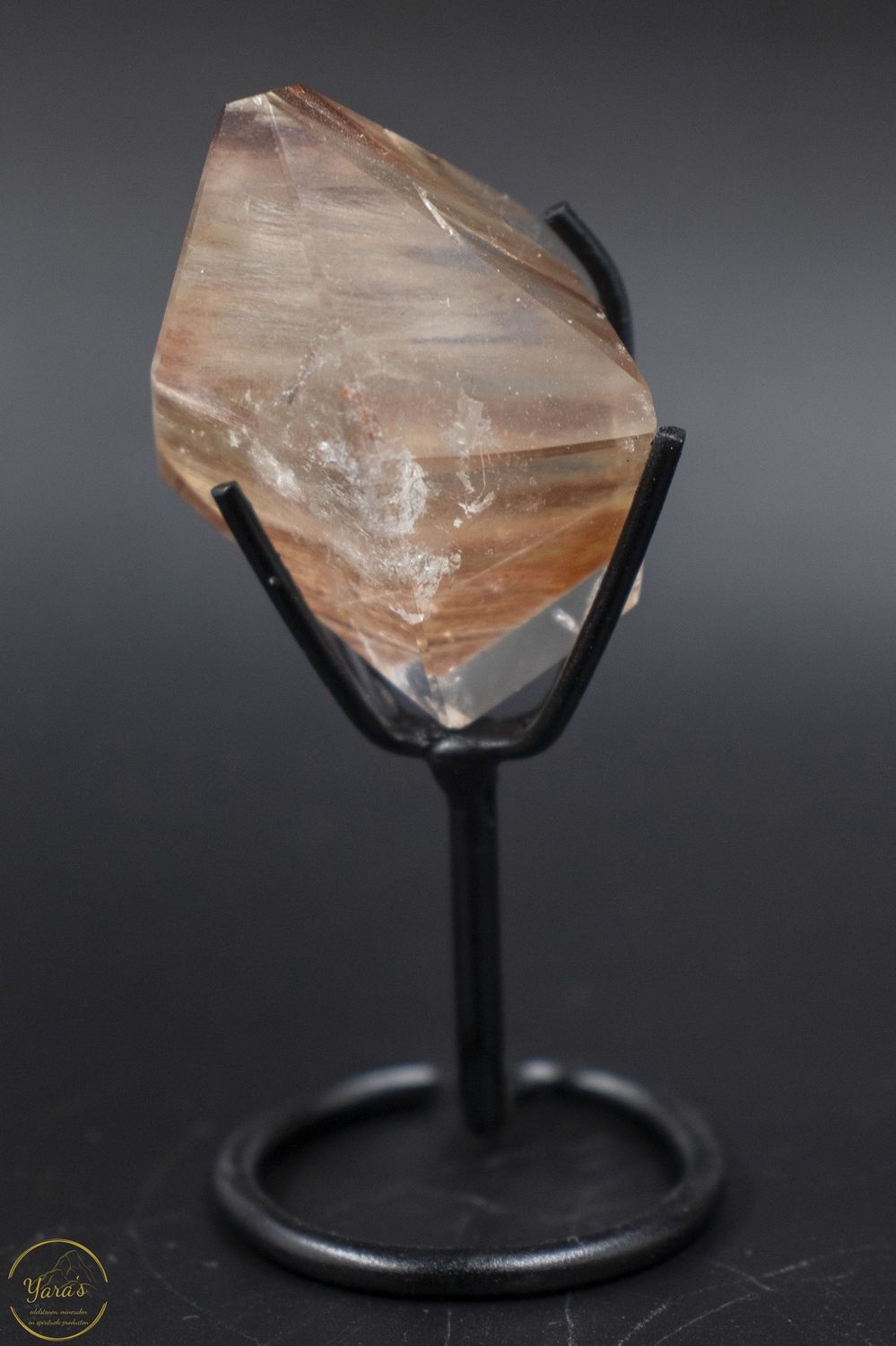 Amfibool op standaard 36 gram