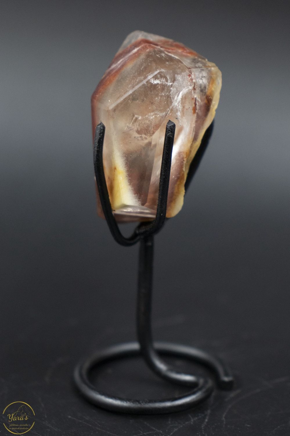 Amfibool op standaard  36 gram