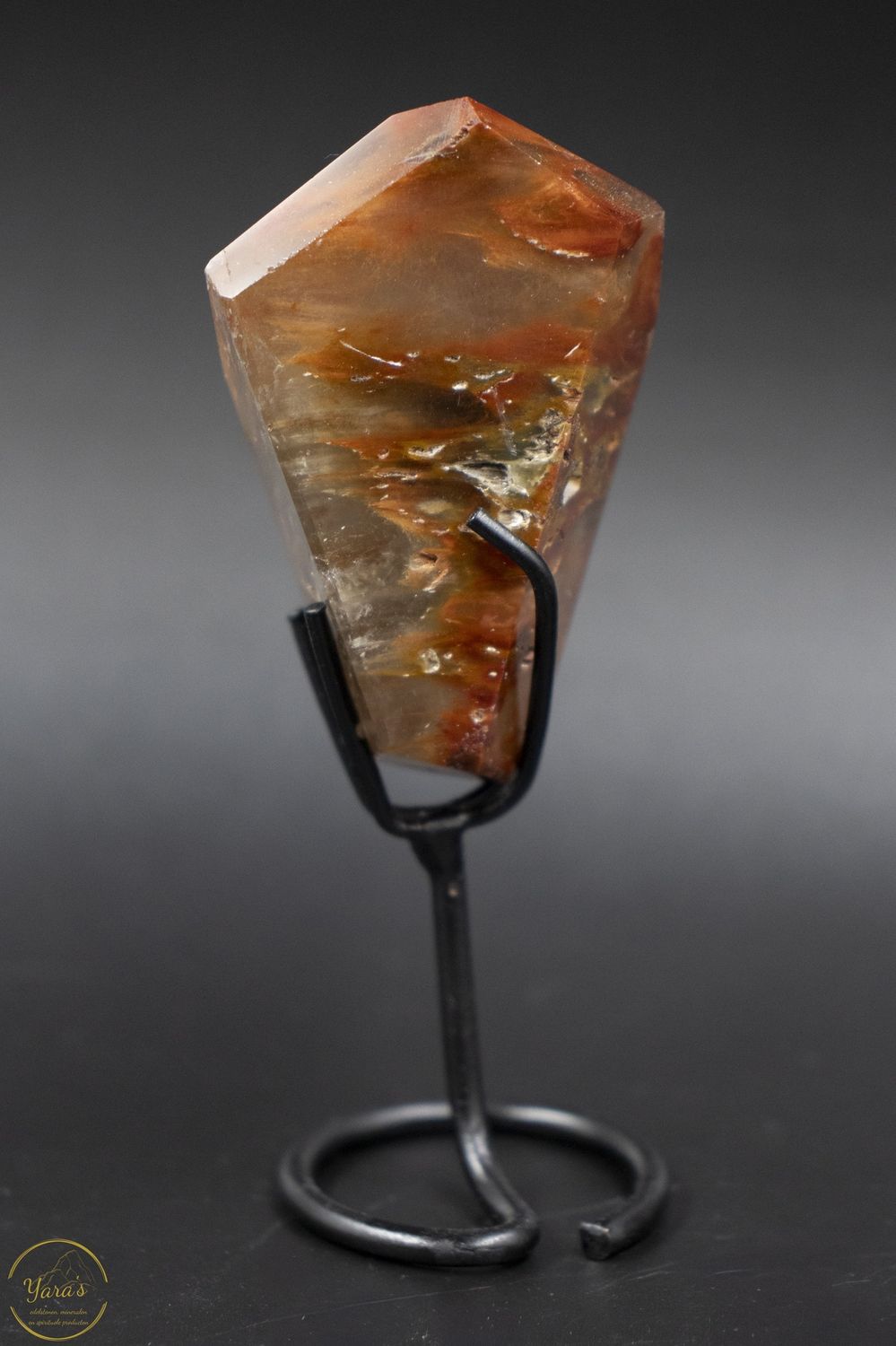 Amfibool op standaard 58 gram