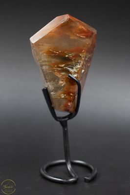 Amfibool op standaard 58 gram