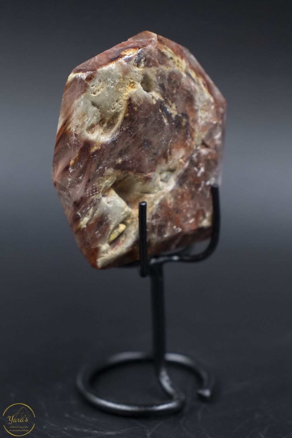 Amfibool op standaard 66 gram