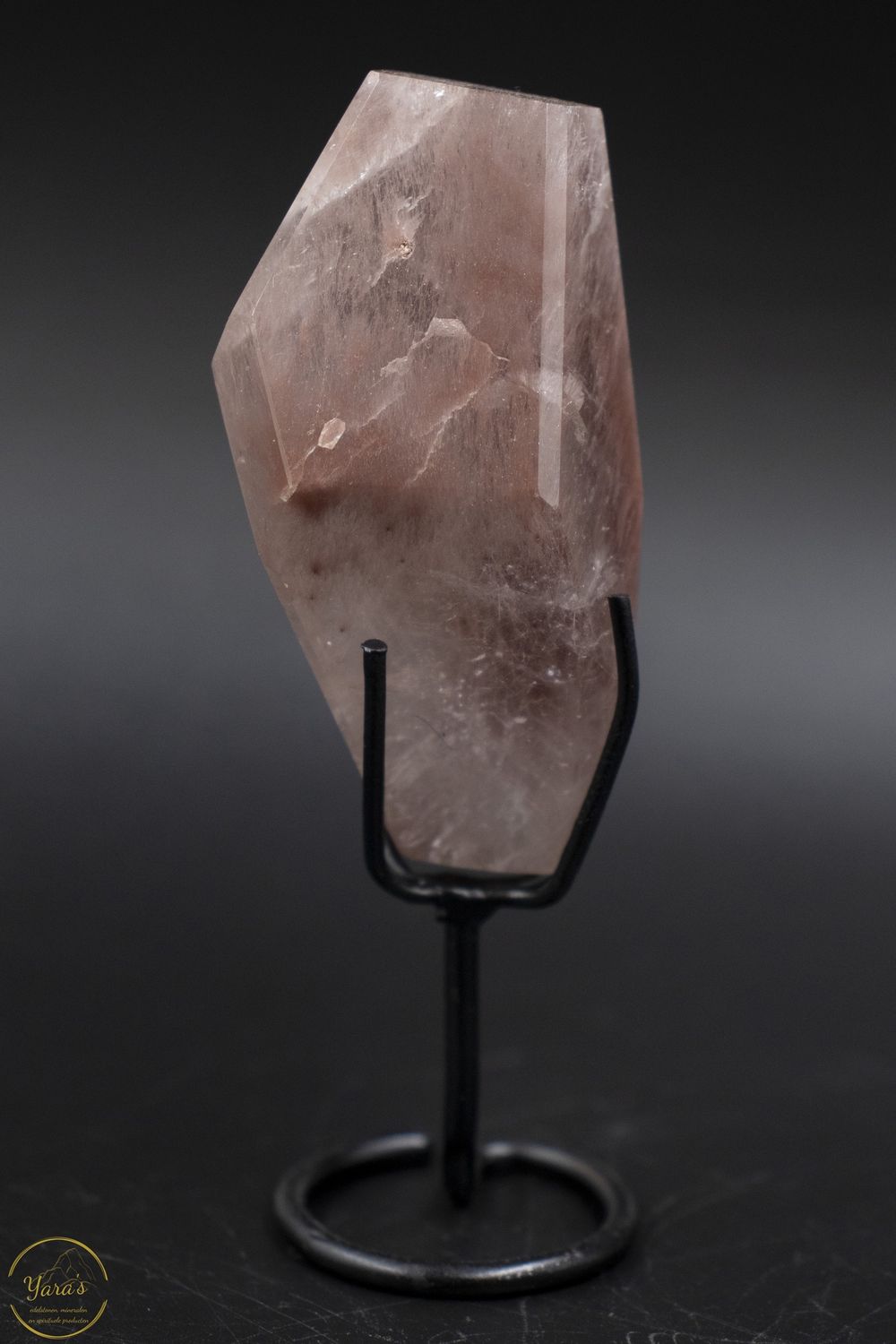 Amfibool op standaard 82 gram