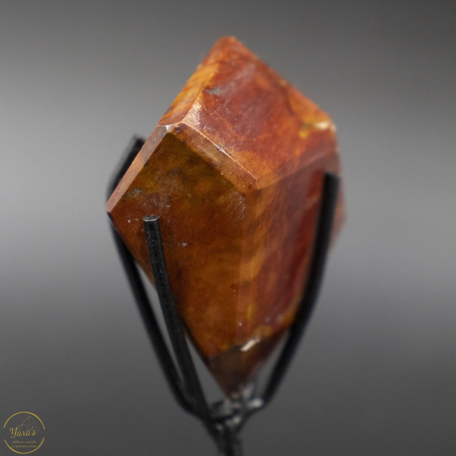 Amfibool op standaard   36 gram