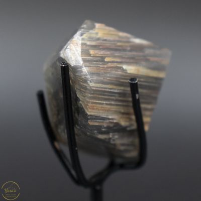 Amfibool op standaard  36  gram