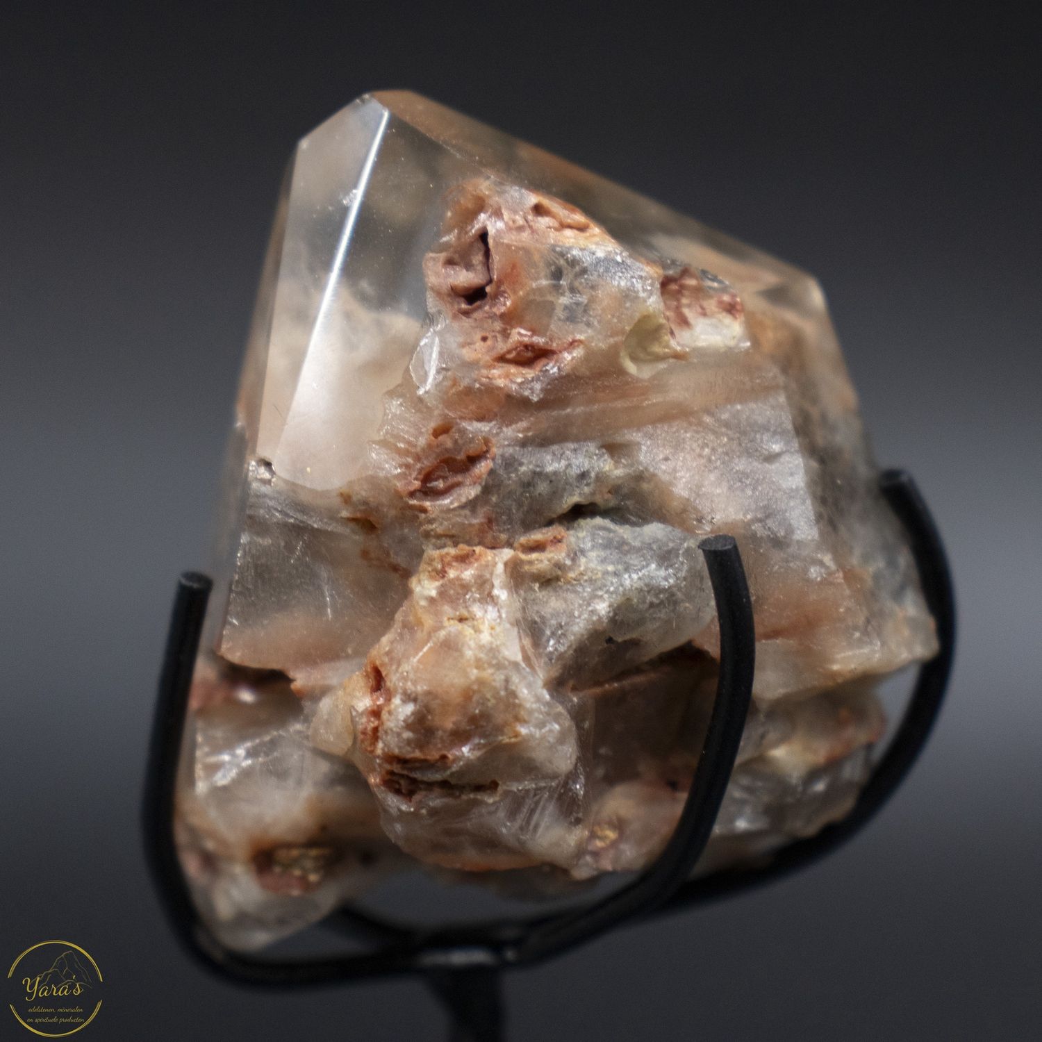 Amfibool op standaard  66 gram