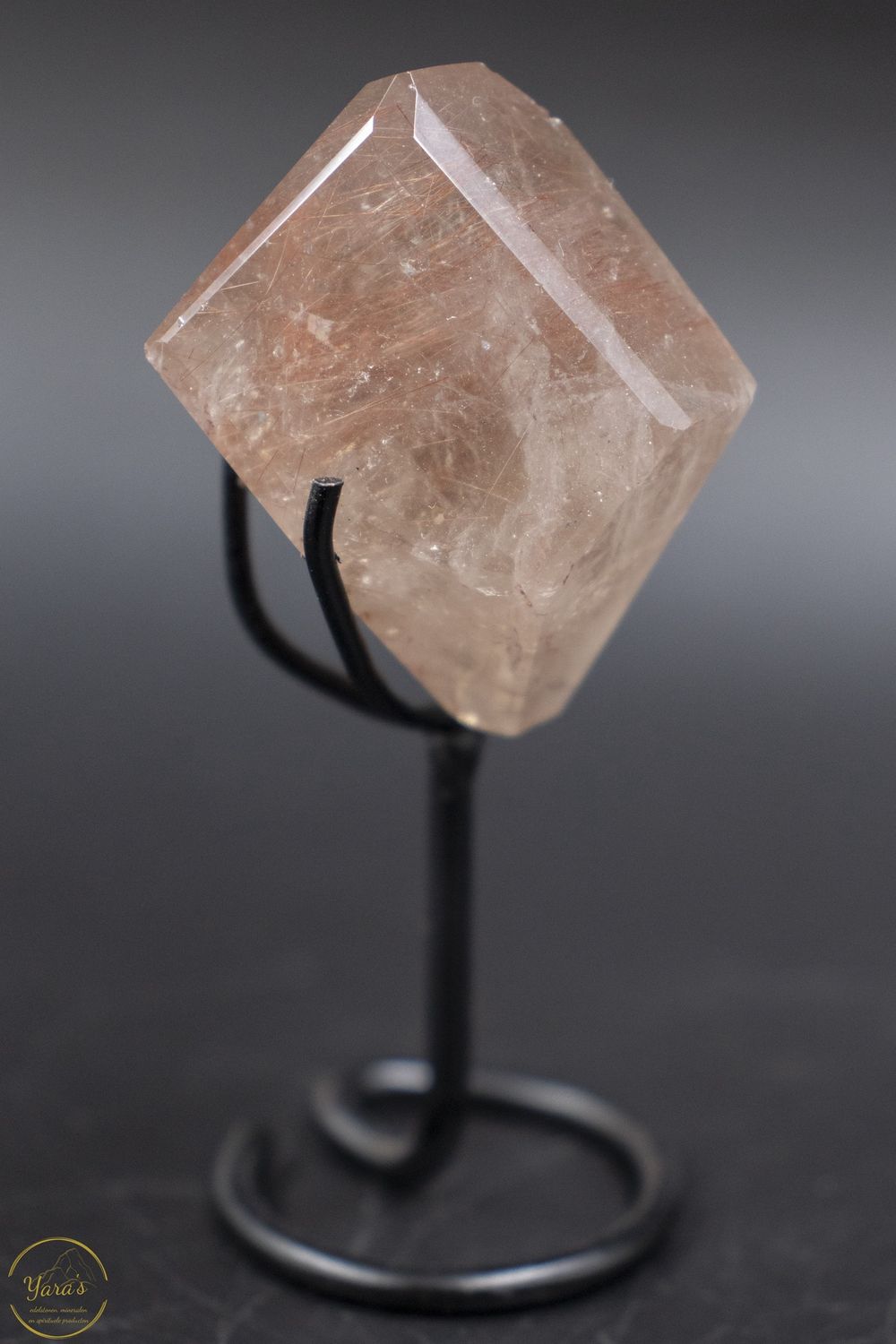 Amfibool op standaard 46 gram