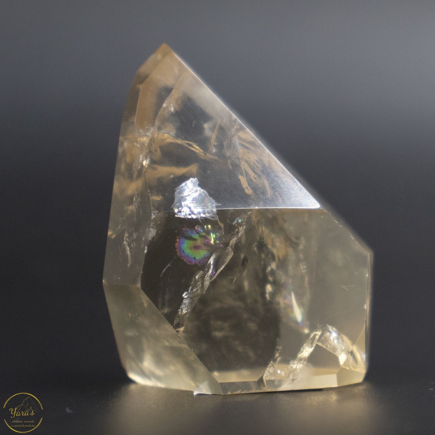 Citrien punt 20 gram