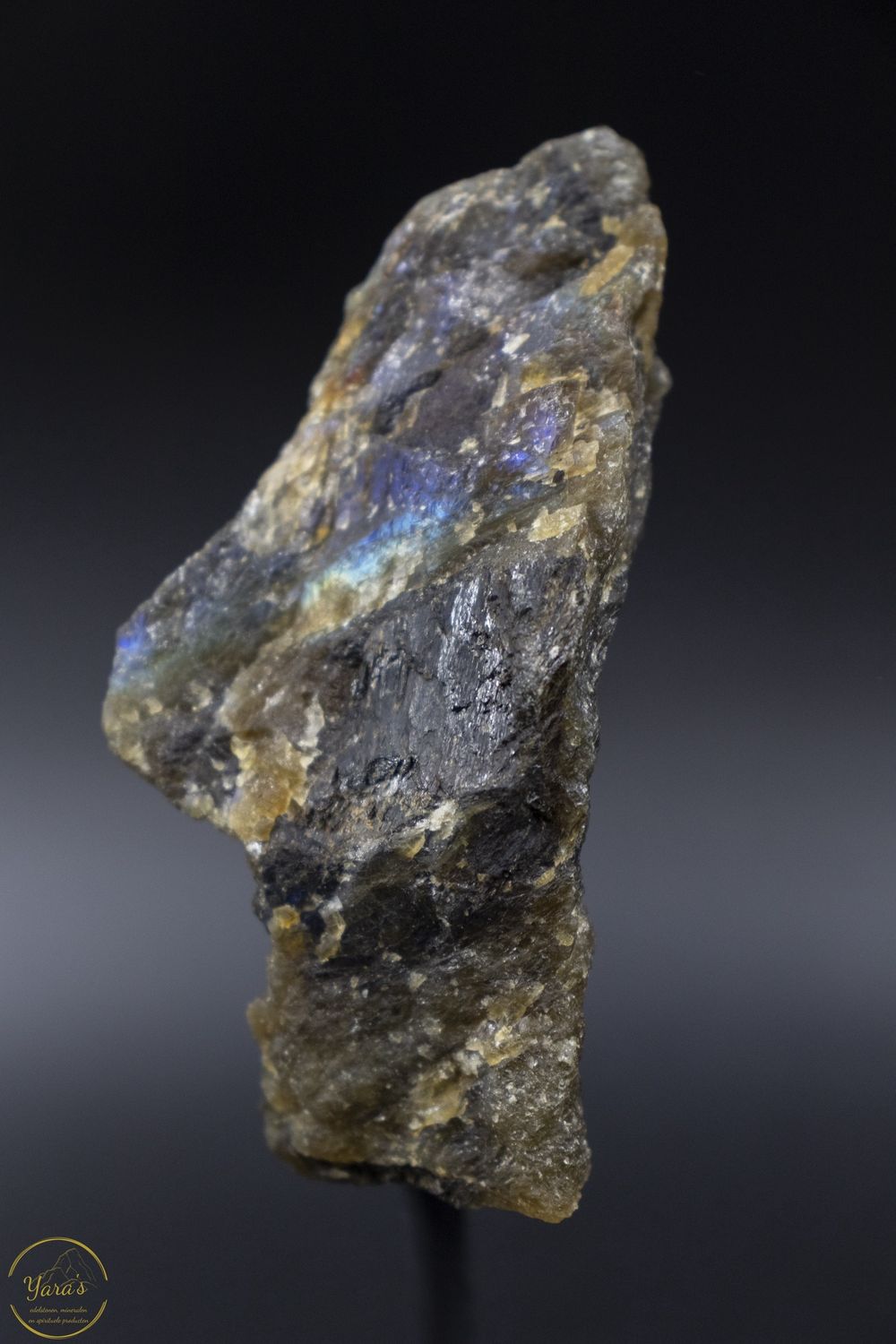 Labradoriet (ruw) op standaard