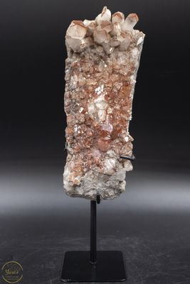 Red Phantom cluster op standaard - 1.45 kg