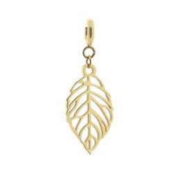 Hanger Solid Gold - blad