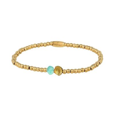 Elastische armband met Amazoniet schelp bedel
