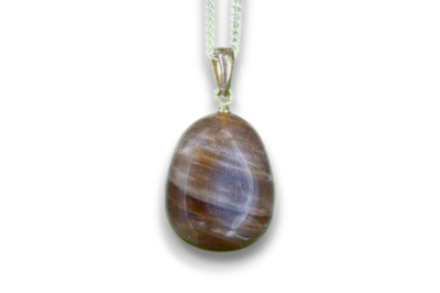 Versteend hout hanger zilver