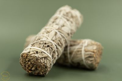Witte Salie Smudge XL