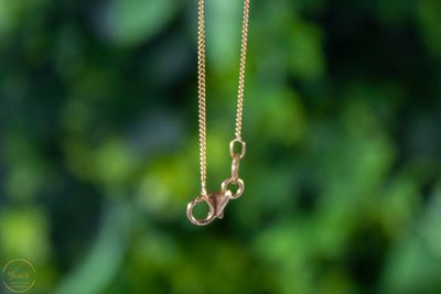 Vergulde ketting 42 cm gourmet 1.1