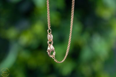 Vergulde ketting 50 cm gourmet 1.4