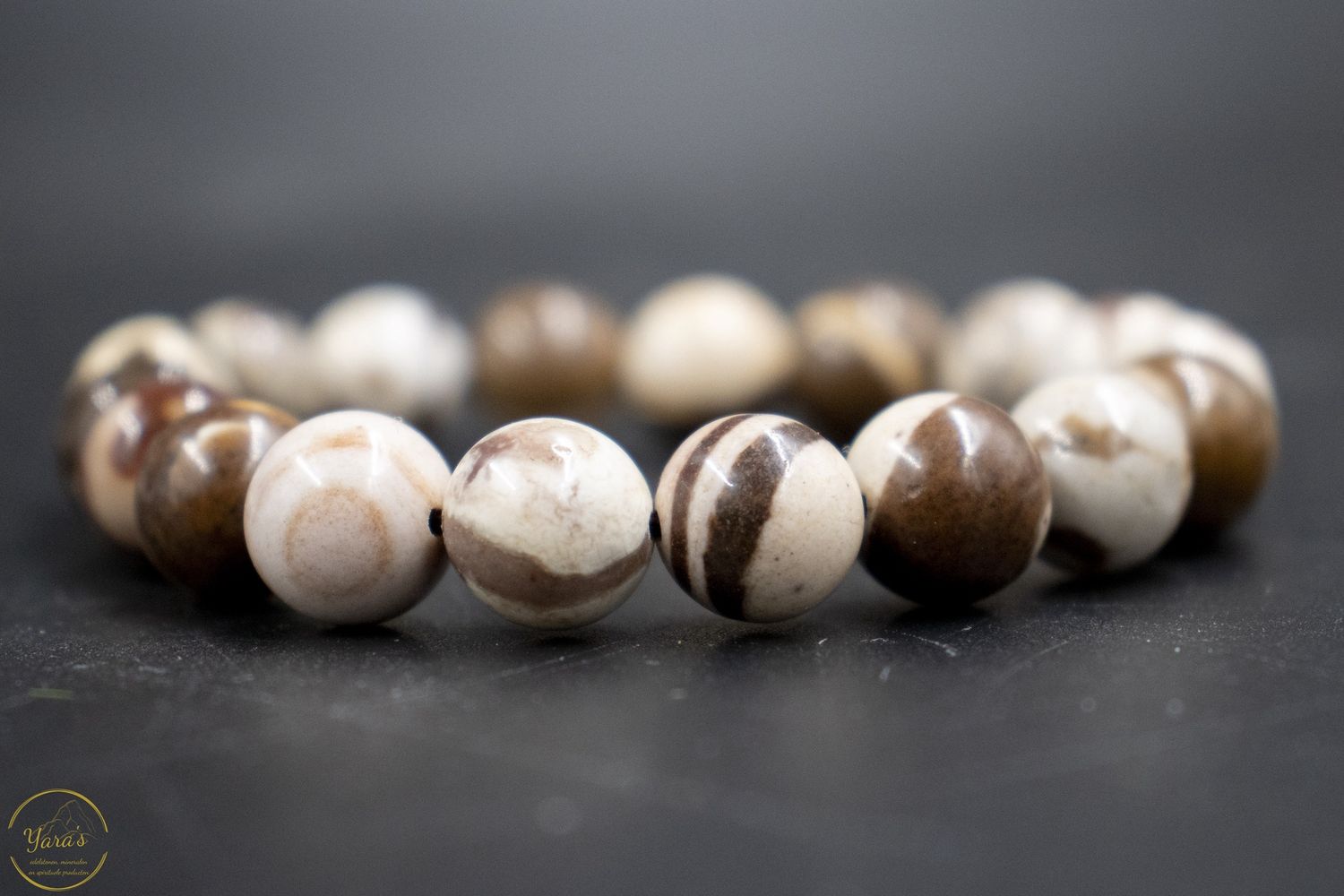 Zebra Jaspis armband 10mm