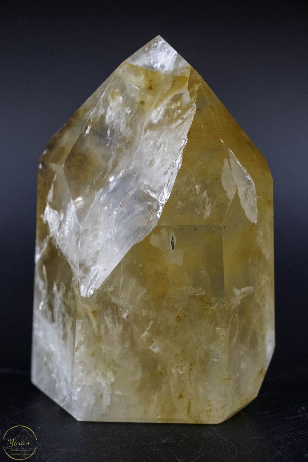 Golden healer punt 440 gram