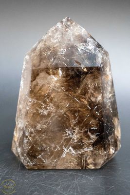 Elestiaal Kwarts/ krokodillen kwarts punt 510 gram