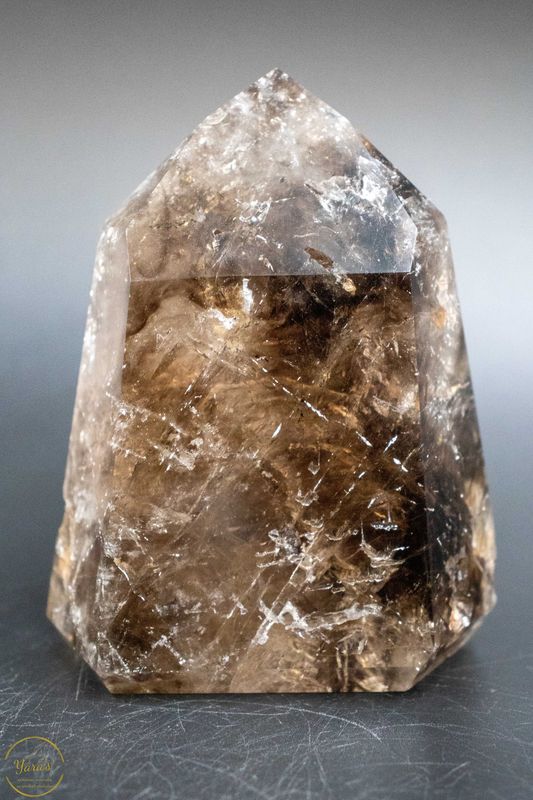 Elestiaal Kwarts/ krokodillen kwarts punt 510 gram