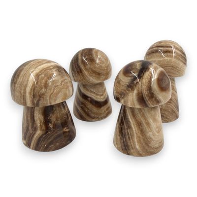 Chocoladebruine aragoniet paddestoel 6cm