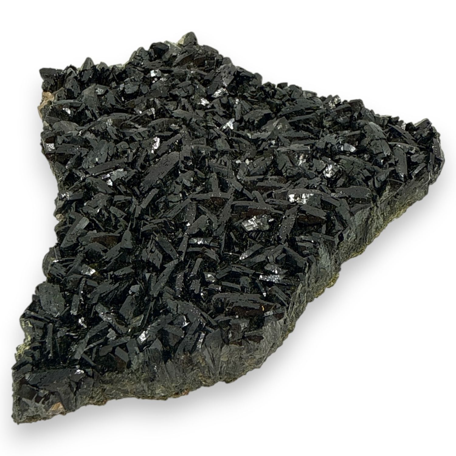 Forest epidoot ruw A+ - 540 gram