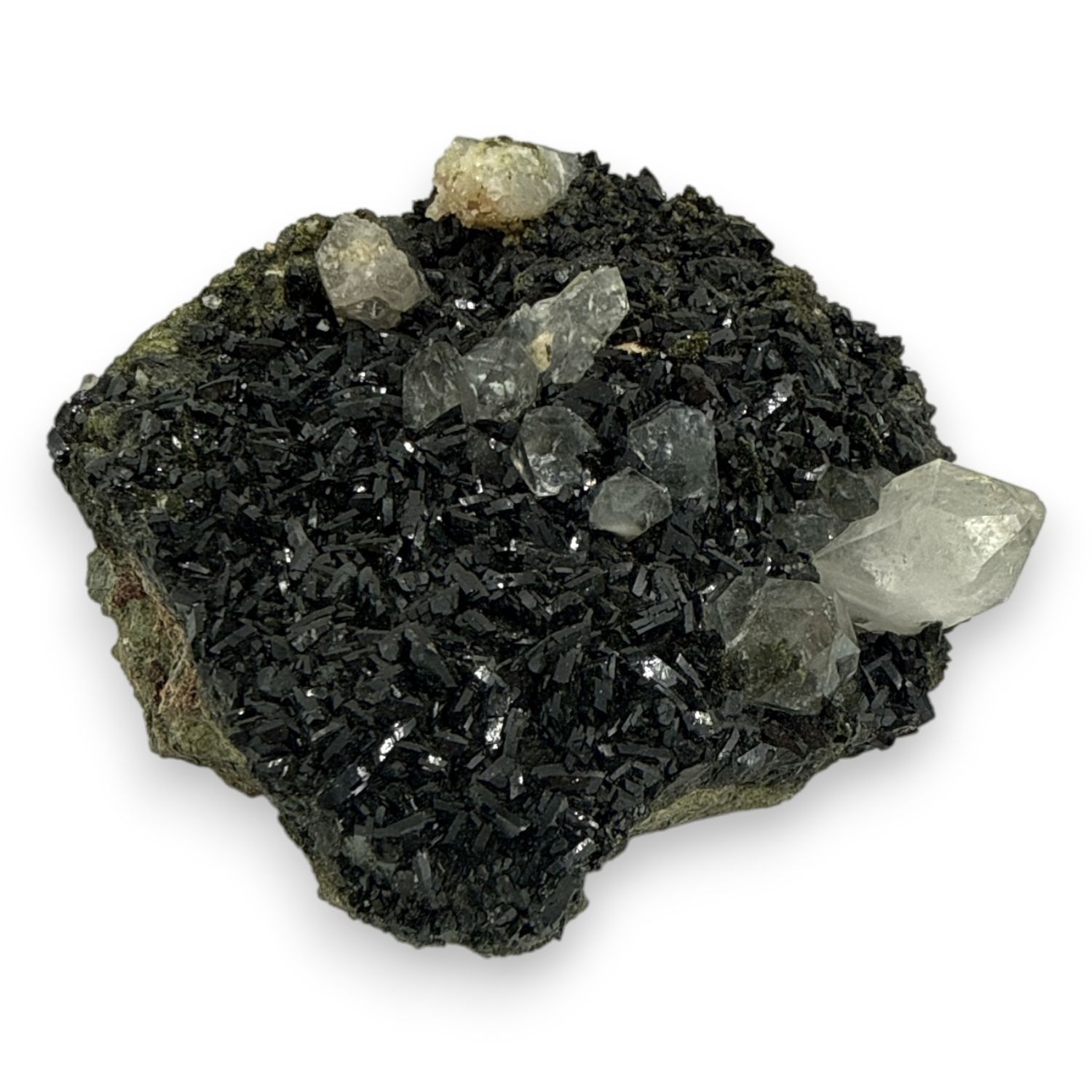 Forest epidoot ruw A+ - 796 gram
