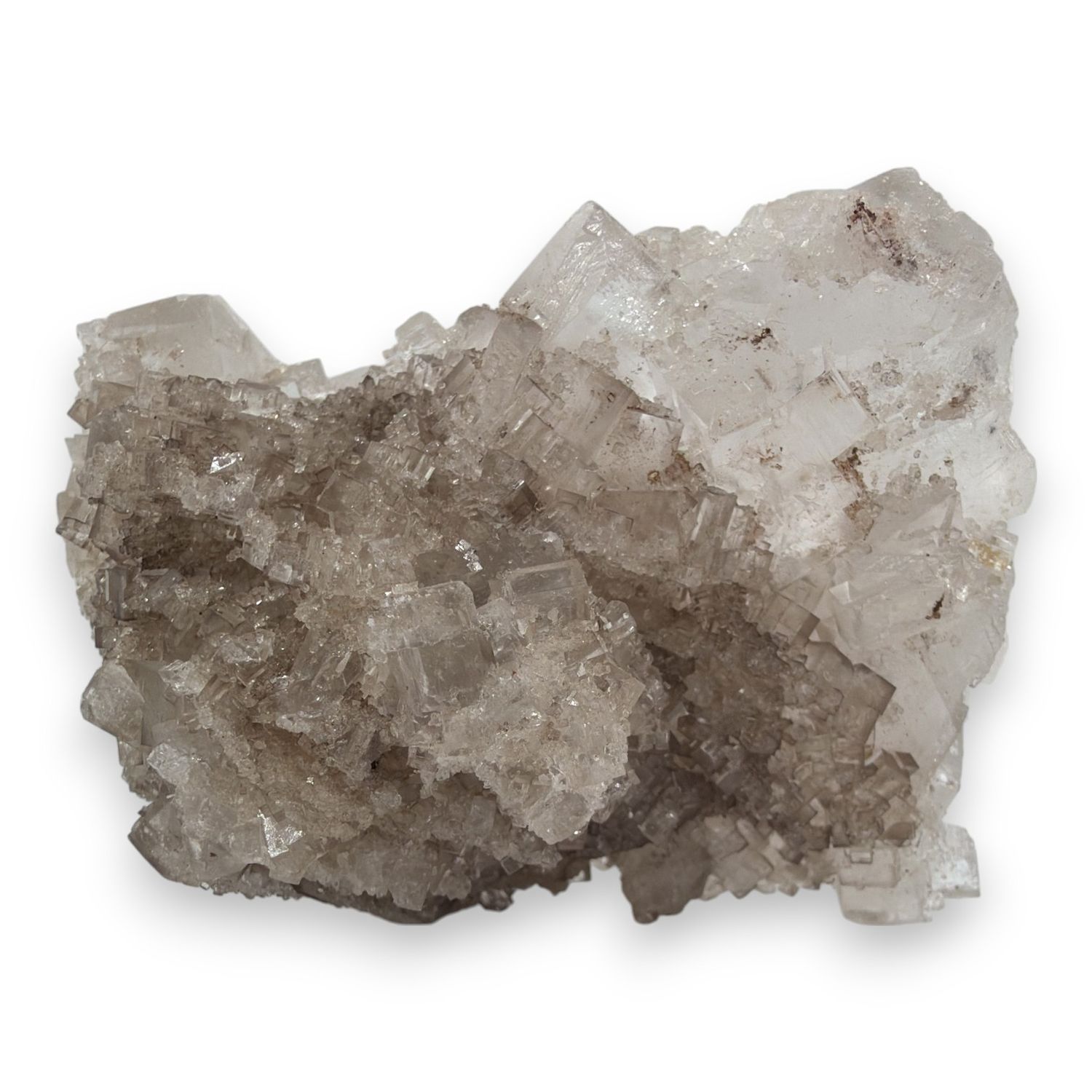 Heldere Haliet uit Marokko - 504 gram