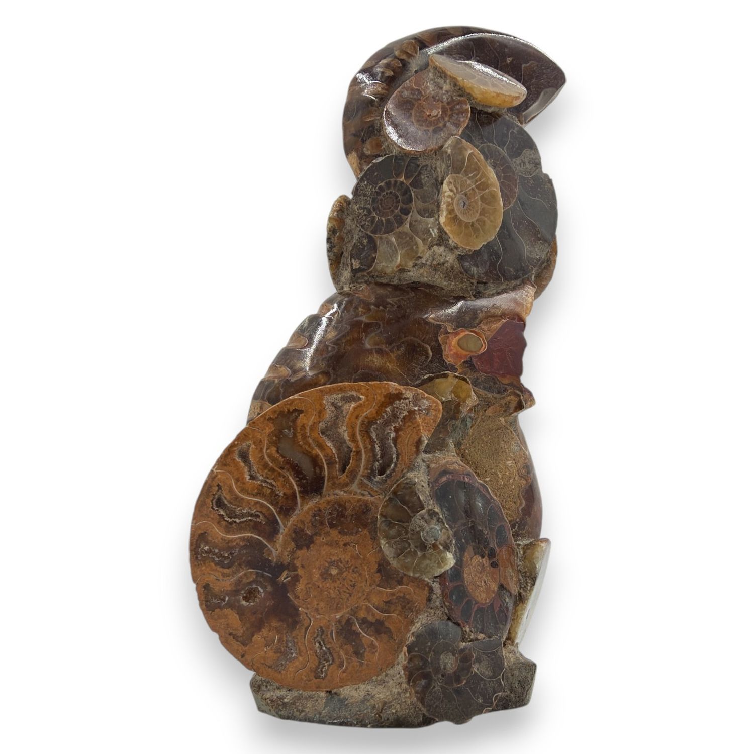 Ammoniet op standvlak  192 gram