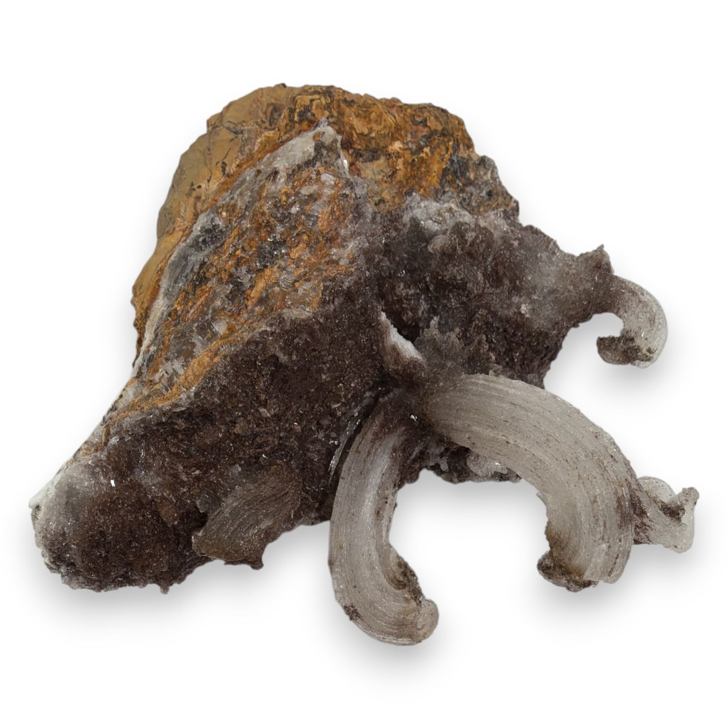 Ramshoorn Seleniet ruw - 740 gram