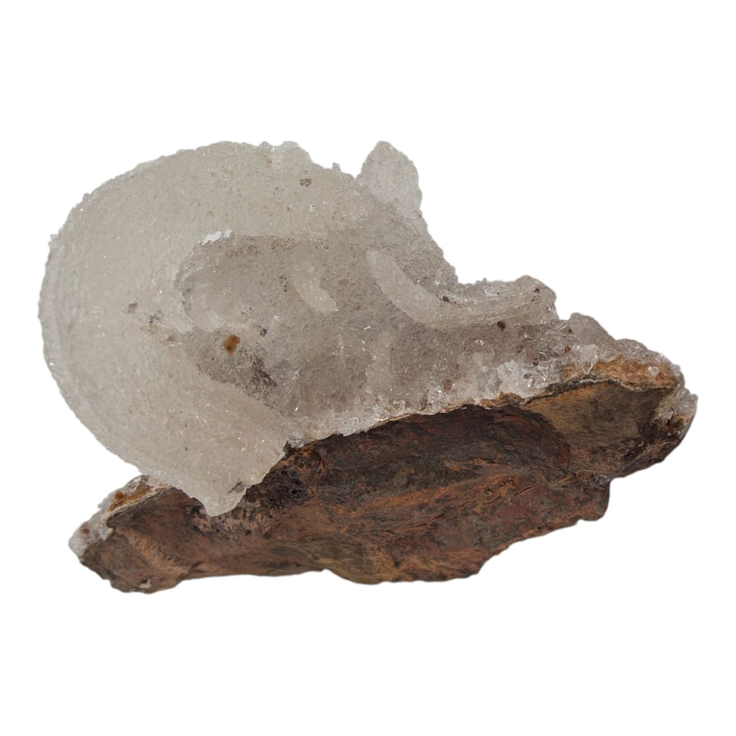 Ramshoorn Seleniet ruw - 114 gram