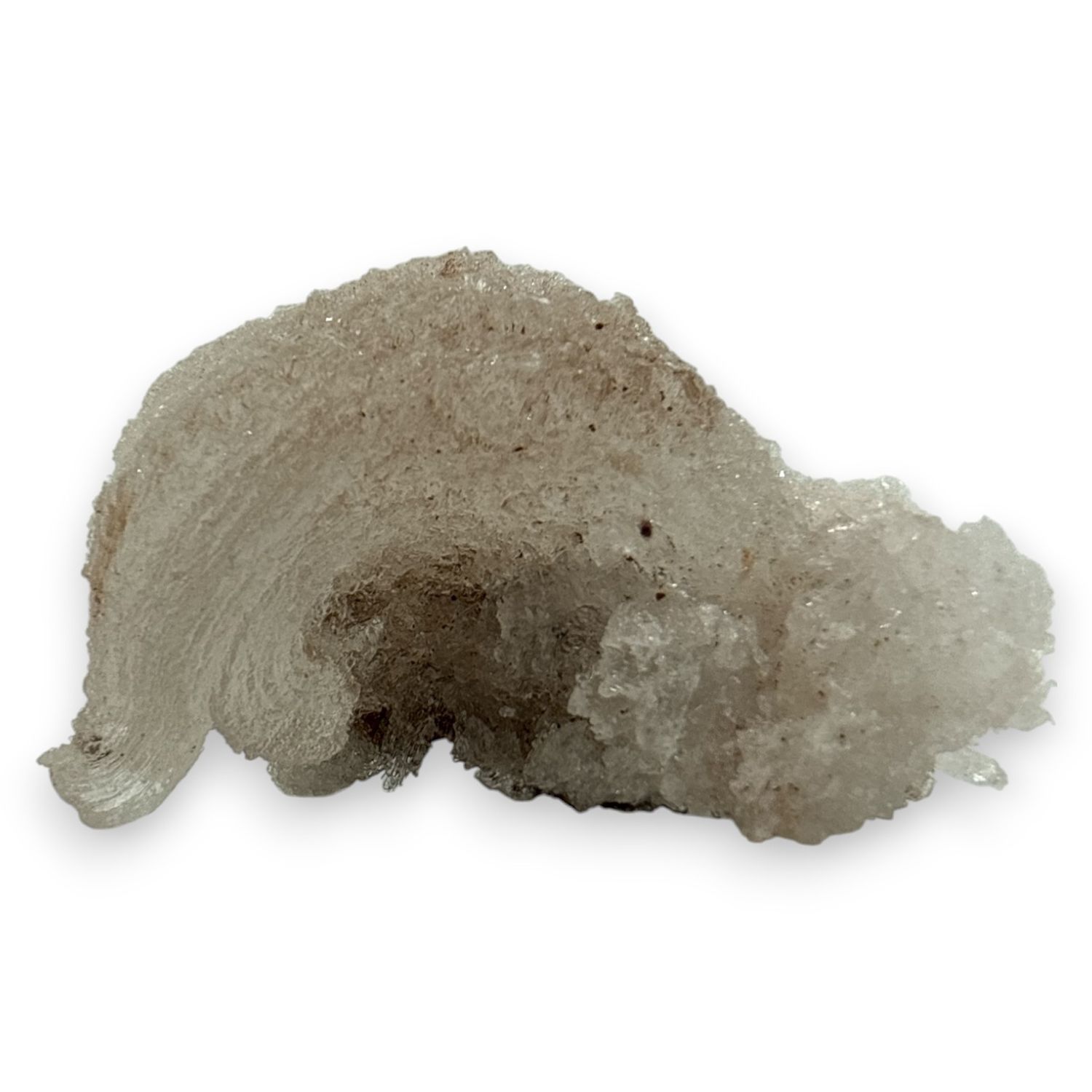 Ramshoorn Seleniet ruw - 70 gram